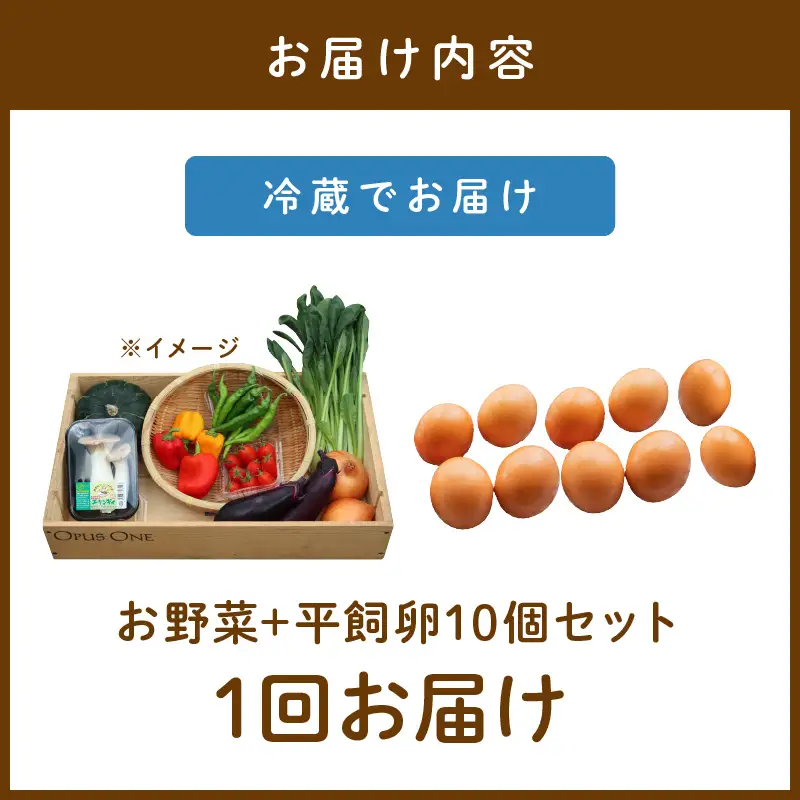 有機野菜・京野菜の『京都やおよし』のお野菜＆平飼玉子10個の詰め合わせ