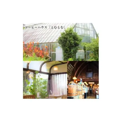 コーヒー豆の原木を使用して作製したボールペン（１本）【つくば市×牛久市×龍ケ崎市×利根町共通返礼品】