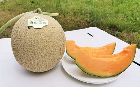 【大玉】とろける舌触り！東山農場産キングメロン 1玉
