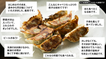 【 定期便 隔月2回 】 まぼろしのキャベツ419使用 ザ・羽生田餃子 15個 × 2パック 計30個 × 2回 ( 合計 60個 ) [AL017tu]