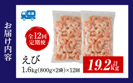 【定期便12回】特大大盛むきえび1.6kg（正味）《配達不可エリア：北海道・沖縄・離島》・K304