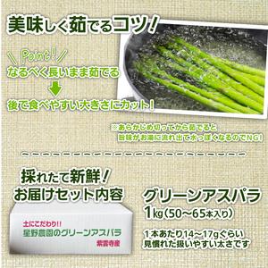 《令和8年産先行予約》朝取りアスパラ 1kg アスパラガス  hoshino001