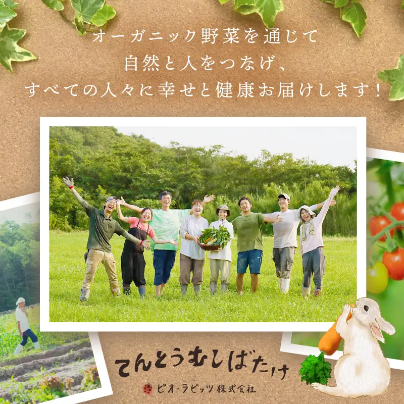 【先行予約：8月配送】＜てんとうむしばたけ＞夏のオーガニック野菜セット　有機野菜6～7種前後
