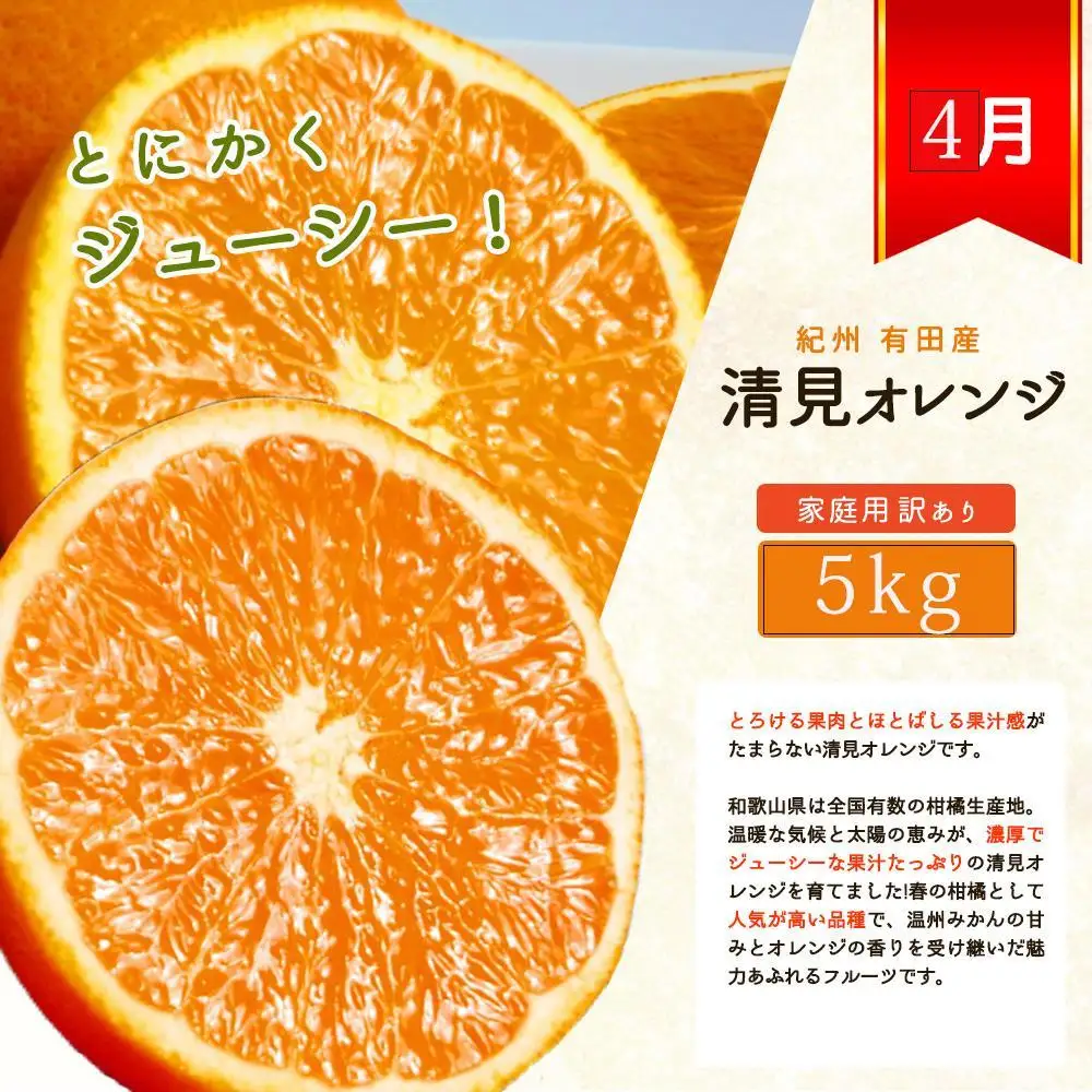 【1・2・3・4月 全4回 定期便】紀州和歌山産旬のご家庭用柑橘セット(みかん・不知火・せとか・清見)