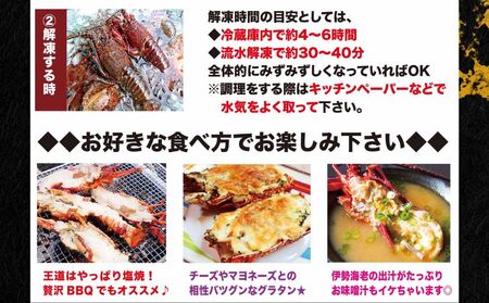 【 伊勢海老 】 活〆冷凍伊勢海老 3㎏
