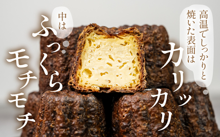 【訳あり】 家庭用 カヌレ８個入（プレーン）自宅用 サイズバラバラ 不揃い のため 訳あり 訳アリ 北海道産 純 生クリーム バター 牛乳 国産 岐阜県 本巣市 卵 無添加 甘い スイーツ デザート コーヒー アイス 季節 スイーツ [mt1769] 8000円