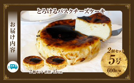 究極のとろけるバスクチーズケーキ　2点セット・T113