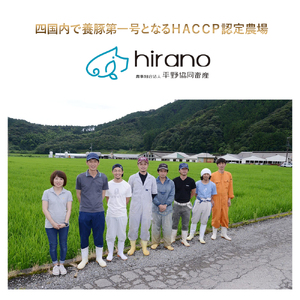 平野協同畜産の「麦豚」 豚もも切り落とし 4kg（500g×8パック） Ahc-14 四万十麦豚 切り落とし もも 国産 冷凍 小分け