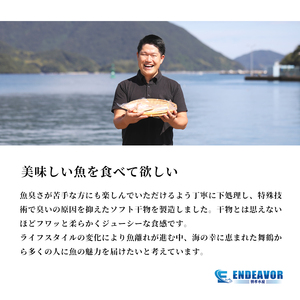 干物 7枚 おまかせ干物セット