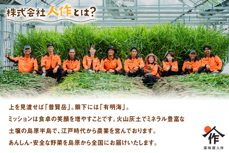 BI381 島原百年生姜 新生姜 3kg [ 長崎県 島原市 ]
