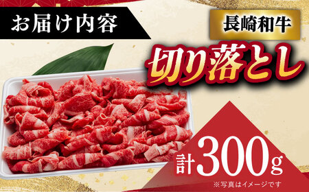 【A5ランク】 長崎和牛 切り落とし300ｇ  [DAR049]