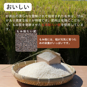 上越市産 新潟 コシヒカリ　5kg 上越市 精米 米 コメ こしひかり ブランド米