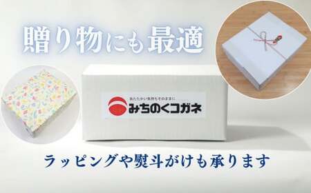 2026年6月～発送／生そうめん 12食 ストレートつゆ付 季節限定 手作り 麺 冷凍 黄金製麺所 C0532 岩手県 北上市