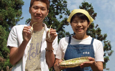 ひげにんにく玉 4袋（1袋60粒入） / 佐賀県 / 日本にんにく [41AAAO004]