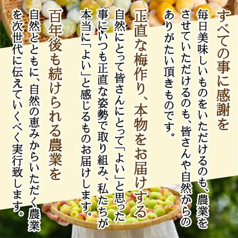 農薬を使用していない南高梅　trgk003B【trgk003B】