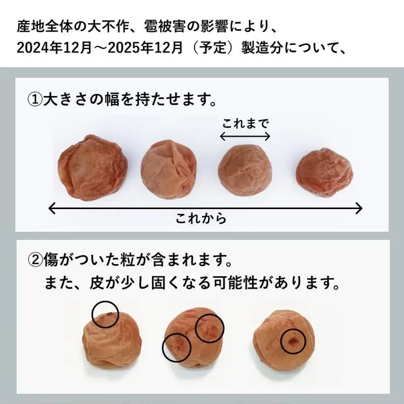 梅干し 1kg 塩分18％ミネラル豊かな天日塩だけで漬けた梅干し【umehkr005A】