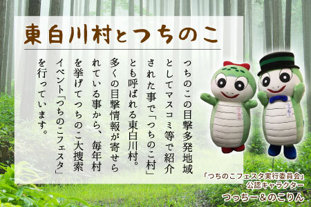 つちのこフェスタ実行委員会公認キャラクター つっちー＆のこりん ぬいぐるみキーホルダー(ペア) ツチノコ つちのこ 東白川村 ぬいぐるみ ゆるキャラ