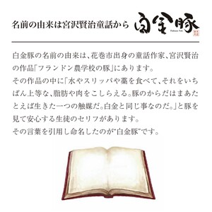 白金豚ローススライス【大】　500g×2パック 　【2129】