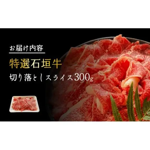 切り落としスライス300g　 IM-34
