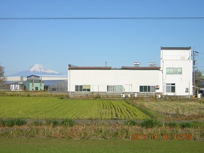 a36-014　深海鮫肝臓油 アクアマリン300mg×100粒（約1ヶ月分）