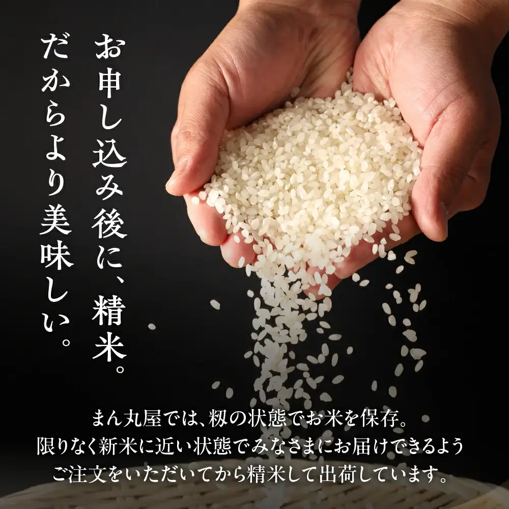 新米予約受付【2026年産米】【2026年12月発送】銀の朏 3kg×1袋 米≪テレビで紹介!!幻の米≫【13-32【12】】