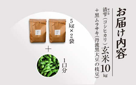 ＜令和8年10月中旬より発送！＞田んぼオーナーシップ 清雫 (1口分・玄米10kg・黒ムラサキ) ふるさと納税 福知山市 田んぼ オーナー オーナー制度 米 玄米 10kg 令和8年度産 先行 収穫 夜久野 京都 【fc-DB001-A】【合同会社夜久野清雫】