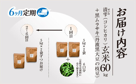 ＜令和8年10月中旬より発送！＞＜6ヶ月定期＞田んぼオーナーシップ 清雫 (6口分・玄米10kg・黒ムラサキ) ふるさと納税 福知山市 田んぼ オーナー オーナー制度 米 玄米 10kg 6回 60kg 令和8年度産 先行 収穫 夜久野 京都 【fc-DB001-C】【合同会社夜久野清雫】