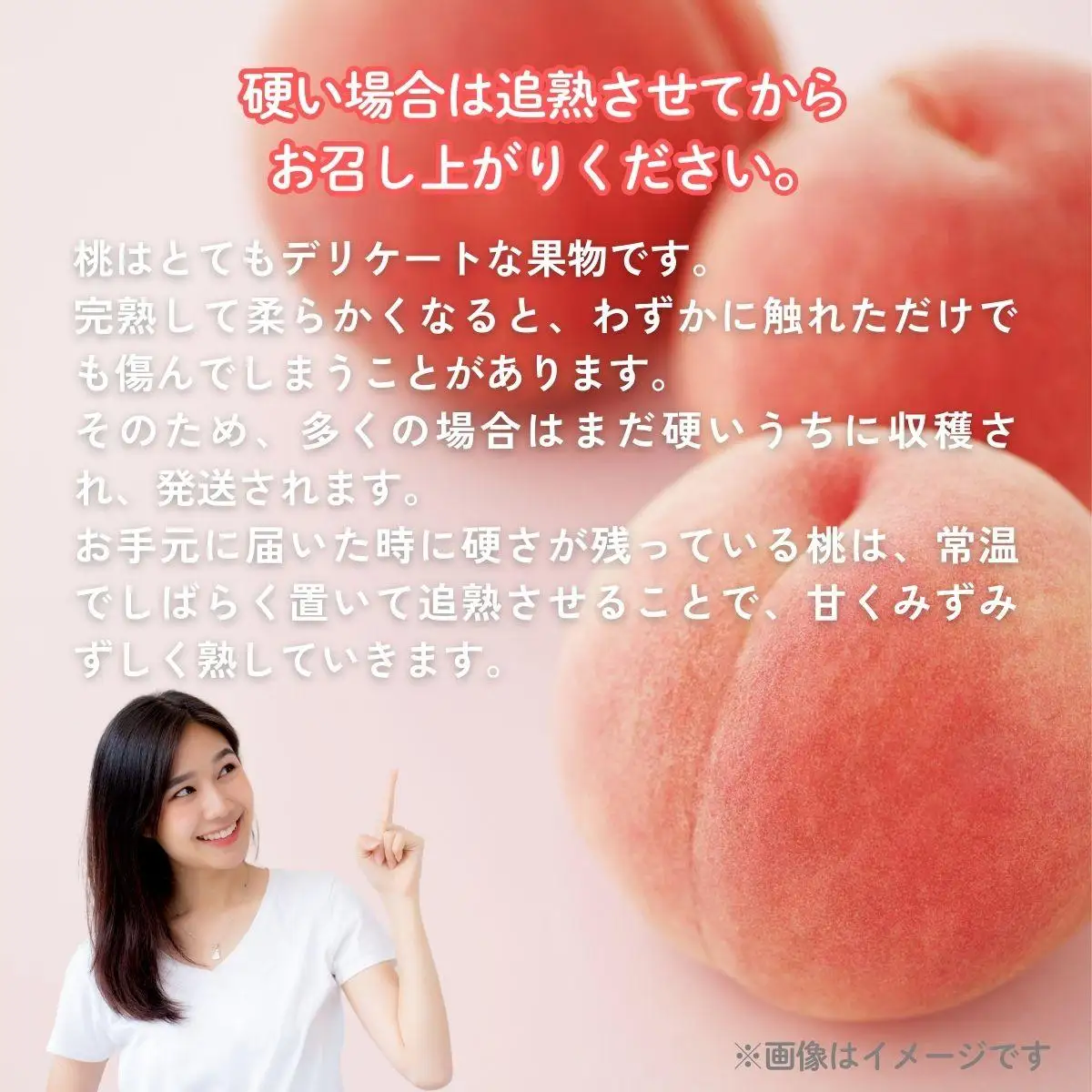 【2026年先行予約】白桃 1箱（約3kg 8玉）桃 もも モモ はくとう フルーツ 【026-a020】