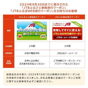 【鳥取市】JTBふるさと旅行クーポン（30,000円分）有効期間3年（Eメール発行）｜予約 宿泊 観光 体験  温泉 ホテル 旅館 チケット 子供 子連れ カップル 家族 店頭 オンライン ネット 電話 鳥取