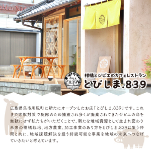 呉ジビエ味わいセット（ジビエが初めての方におすすめ） ku118-018-r