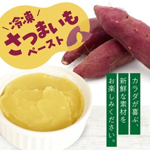 冷凍さつまいもペースト1.0kg(500g×2袋) 山形県遊佐産 冷凍便 ※離島発送不可 冷凍 さつまいも さつま芋 サツマイモ 野菜 野菜ペースト 離乳食 介護食 お菓子作り 小分け ゆざ食彩工房 遊佐町 庄内 東北 [1433SA1000G]
