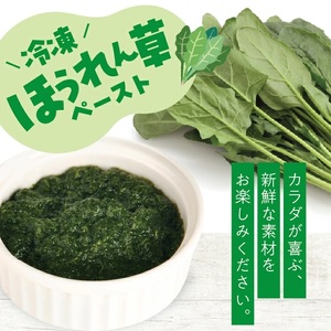 冷凍ほうれん草ペースト1.5kg(500g×3袋) 山形県遊佐産 冷凍便 ※離島発送不可 冷凍 ほうれん草 ほうれんそう ホウレンソウ 野菜 野菜ペースト 離乳食 介護食 お菓子作り 小分け ゆざ食彩工房 遊佐町 庄内 東北 [1434HO1500G]