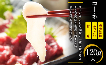 馬刺し 皿盛り セット