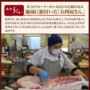 五つ星ひょうご認定特製神戸ビーフハンバーグセット(100g×5個入り)《 ハンバーグ 職人 鉄板焼 特上ハンバーグ 惣菜 送料無料 小分け 簡単調理 こだわり プレゼント お取り寄せ おすすめ 》【2401I00601】