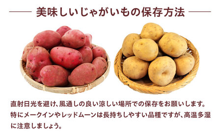 常備野菜セット（6月頃発送予定） たまねぎ ジャガイモ [AOCS025]