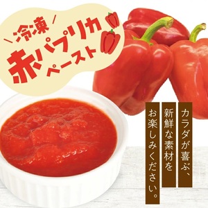 冷凍パプリカペースト1.0kg(500g×2袋) 山形県遊佐産 冷凍便 ※離島発送不可 冷凍 パプリカ 野菜 野菜ペースト 離乳食 介護食 小分け ゆざ食彩工房 遊佐町 庄内 東北 [1435PA1000G]