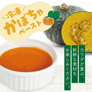 冷凍かぼちゃペースト1.5kg(500g×3袋) 山形県遊佐産 冷凍便 ※離島発送不可 冷凍 かぼちゃ カボチャ 南瓜 野菜 野菜ペースト 離乳食 介護食 お菓子作り 小分け ゆざ食彩工房 遊佐町 庄内 東北 [1437KB1500G]