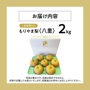 びわこもりやまフルーツランド　もりやま梨　八里ご自宅用 CV-0008