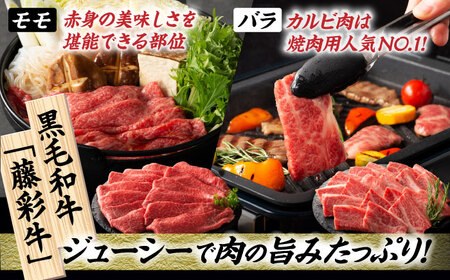 【6回定期便】「熊本特産馬刺しと熊本黒毛和牛」フジチクオリジナル贅沢食べ比べセット 3905【有限会社 スイートサプライなかぞの】[ZDT148]