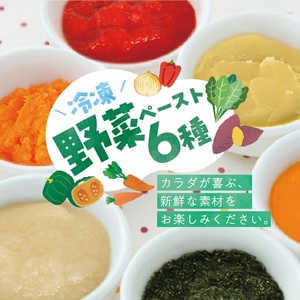 冷凍野菜ペーストアラカルト6種 ほうれん草 さつまいも 玉ねぎ パプリカ にんじん かぼちゃ 各500g 計3.0kg 冷凍便 ※離島発送不可 冷凍 野菜 野菜ペースト 離乳食 介護食 小分け お菓子作り アラカルト セット 詰め合わせ ゆざ食彩工房 遊佐町 庄内 [1438AL3000G]