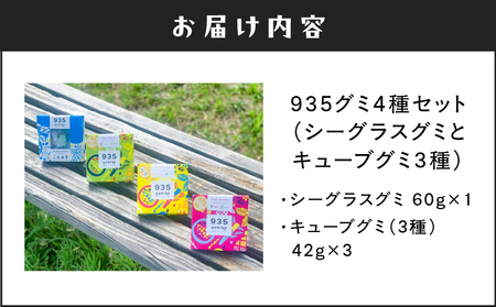 935 グミ 4種 セット （ シーグラスグミ と キューブグミ 3種 ） A021-041  お菓子 スイーツ おやつ グミセット 甘い 奄美大島発 フルーツグミ 安田商店 ふるさと納税 鹿児島 奄美市 おすすめ ランキング プレゼント ギフト