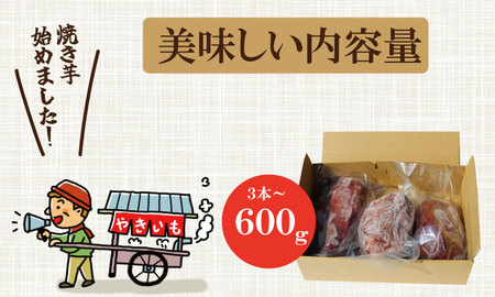 冷凍 焼き芋 紅はるか（600g）五時の芋 やきいも 甘い スイーツ ホクホク イモ 冷やしても美味しい 熟成　A075-019