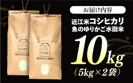 【スピード発送】近江米 コシヒカリ 10kg [AQAW012] こしひかり  魚のゆりかご水田米
