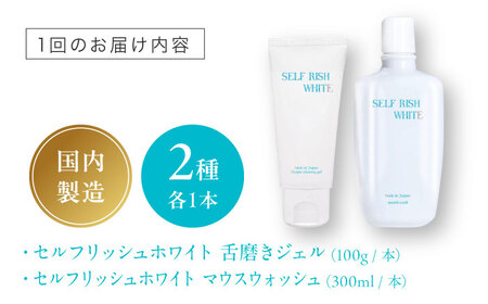 歯磨き粉【全6回定期便】 舌磨きジェル ミントフレーバー風味 1本（100g） ＆マウスウォッシュ 1本（300ml） 2点セット 歯磨き粉[AGCQ047]