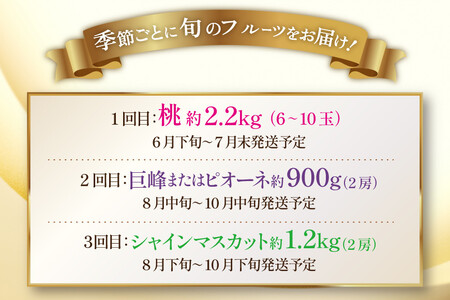 フルーツ 定期便 3回 山梨 旬な果物 大満足3種セット 桃 2.2kg(6?10玉) ぶどう 900g(2房) シャインマスカット 1.2kg(2房) [斎庵 山梨県 韮崎市 20743911]