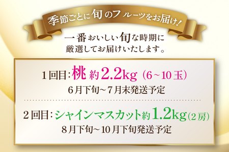 フルーツ 定期便 2回 山梨 旬な果物 人気の2種セット 桃 2.2kg(6?10玉) シャインマスカット 1.2kg(2房) [斎庵 山梨県 韮崎市 20743912]