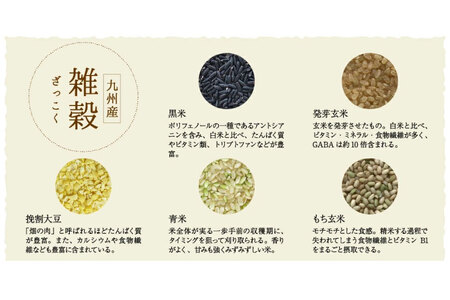 雑穀米 国産 混ぜるだけ 九州満菜 雑穀 250g 1 パック 約20合分 [オキス 宮崎県 日向市 452061133]
