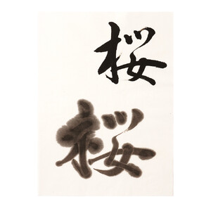 鈴鹿墨 書道用墨 「桜墨」