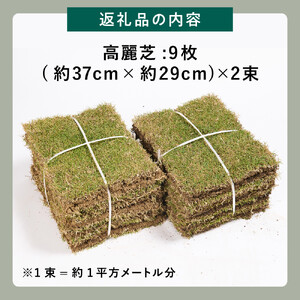 天然　高品質　高麗芝(コウライシバ)　2束セット(約2平方メートル分)
