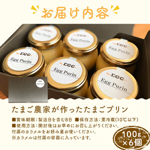 たまご農家が作った「たまごプリン」 6個セット